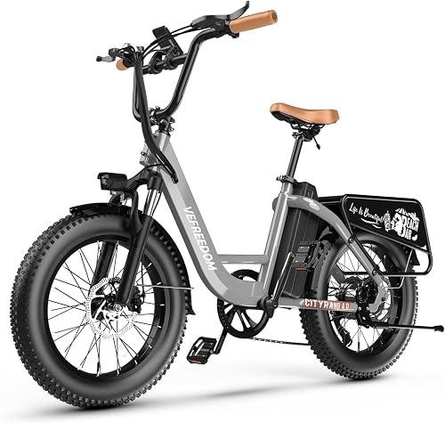 vefreedom with Peak Motor E-Bike