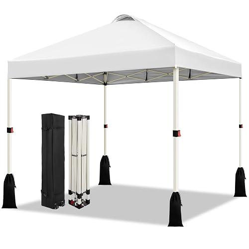 WEIZE 10x10 Pop Up Canopy Tent