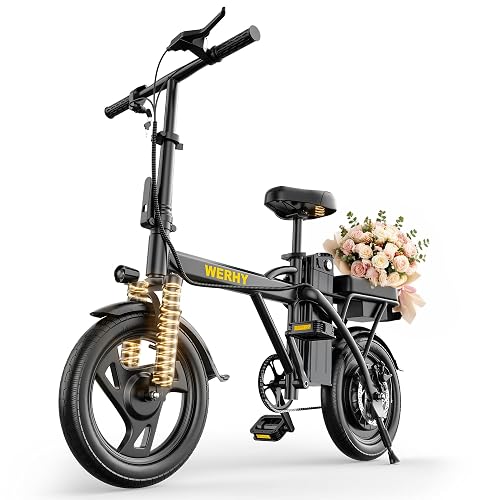 WERHY Motor 20 MPH Max Speed