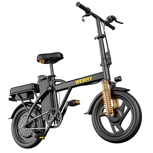 WERHY Motor 20 MPH Max Speed