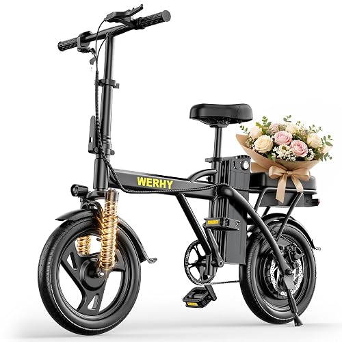 WERHY Motor 20 MPH Max Speed