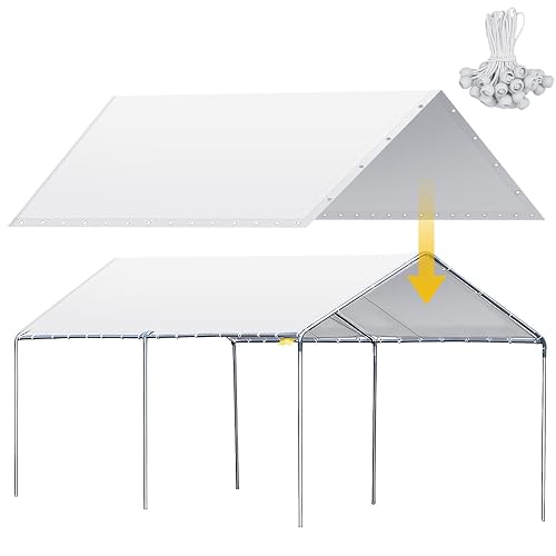 Wesnoy 10 x 20 ft Heavy Duty