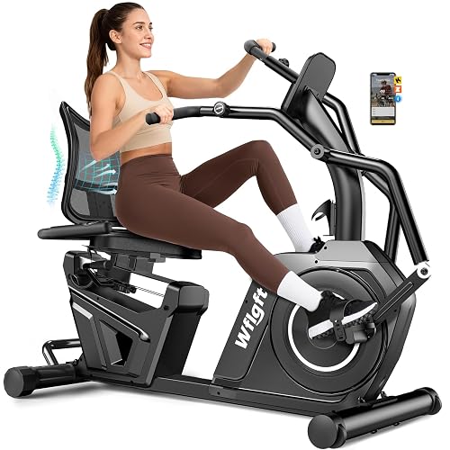 WFLGFT Recumbent Exercise Bikes for Home