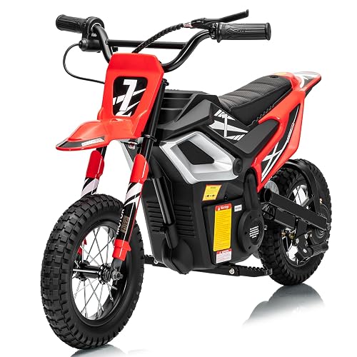 Winado Kids Electric Dirt Bike