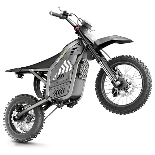 Windone RS5 Electric Dirt Bike & Adults