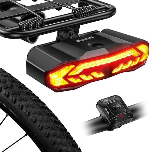 WSDCAM Smart Bike Tail Light for Cargo