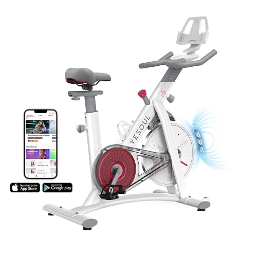Yesoul Black Exercise Bike for Home