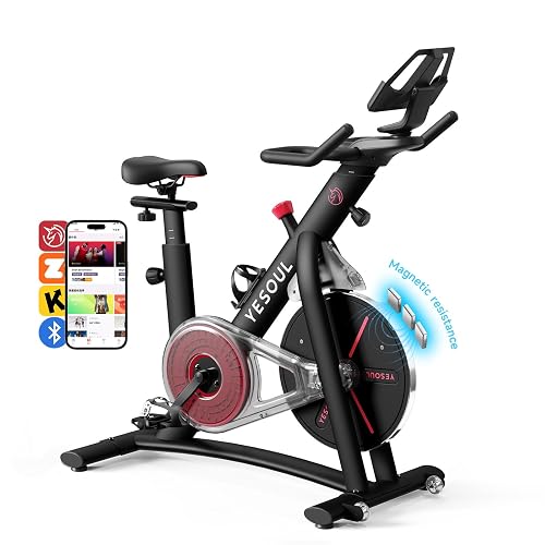 Yesoul Black Exercise Bike for Home